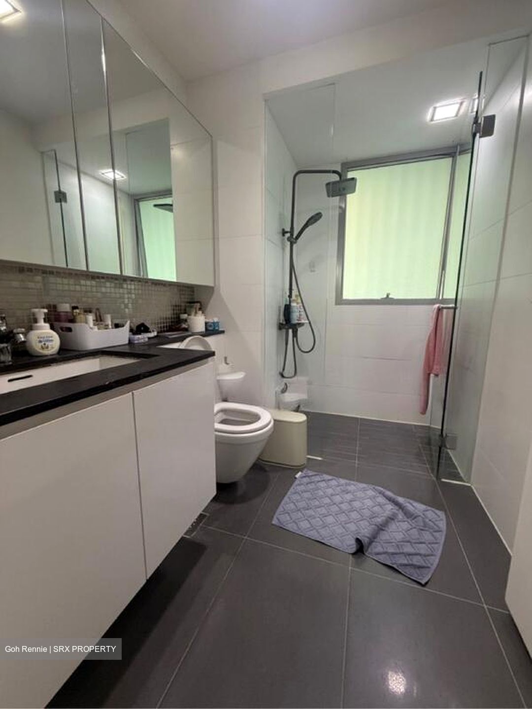 The Minton (D19), Condominium #497183151